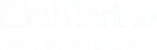 del-morino-logo-white